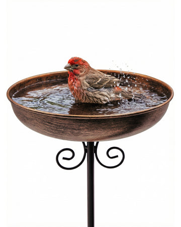 OUISJYER Small Metal Bird Bath with 5-Prong Stake – 10 Inch