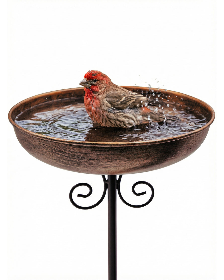 OUISJYER Small Metal Bird Bath with 5-Prong Stake – 10 Inch